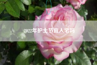 2022年护士节宜入宅吗