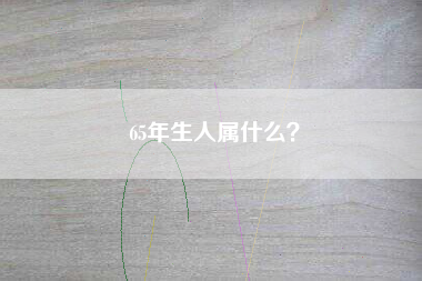 65年生人属什么？
