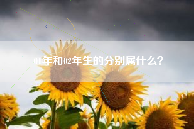 01年和02年生的分别属什么？