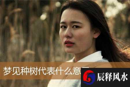 梦见种树代表什么意思