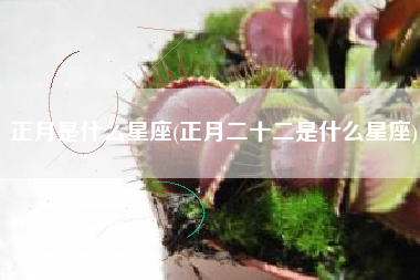 正月是什么星座(正月二十二是什么星座)