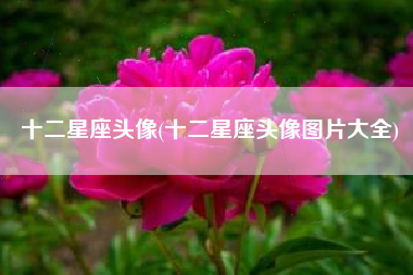 十二星座头像(十二星座头像图片大全)