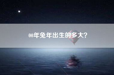 00年兔年出生的多大？