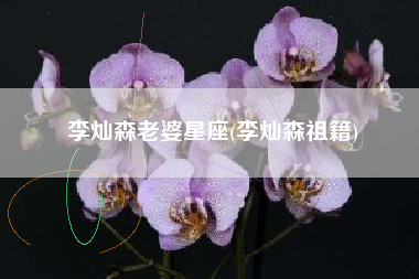 李灿森老婆星座(李灿森祖籍)