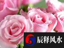 怎么给自己的公司取个好名字