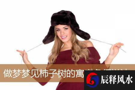 做梦梦见柿子树的寓意象征说法