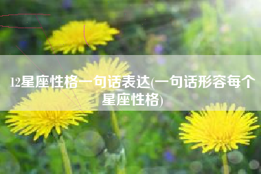 12星座性格一句话表达(一句话形容每个星座性格)