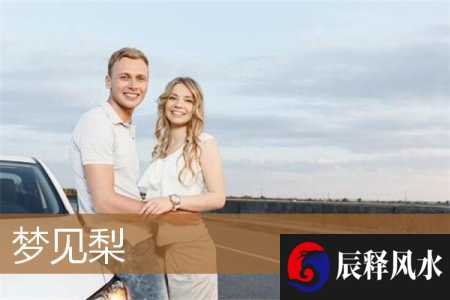 梦见梨(梦见梨子)