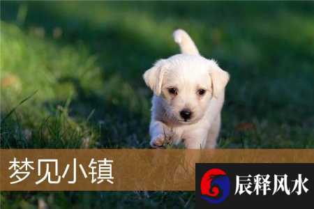 梦见小镇是什么意思有什么预兆