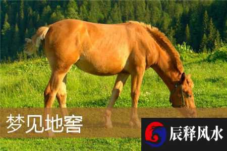 梦见地窖是什么意思有什么预兆