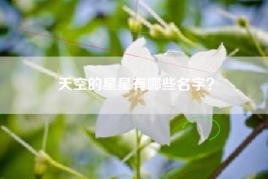 天空的星星有哪些名字？