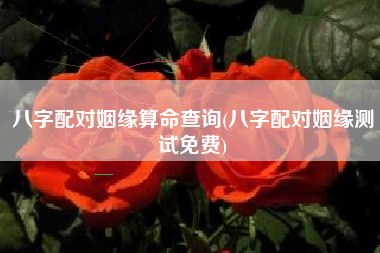 八字配对姻缘算命查询(八字配对姻缘测试免费)