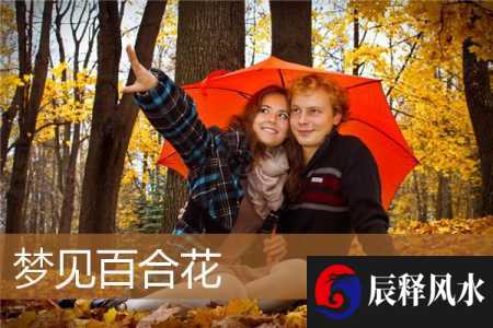 梦见百合花是什么意思有什么预兆