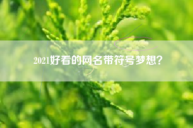 2021好看的网名带符号梦想？