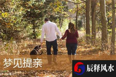 梦见提亲是什么意思有什么预兆