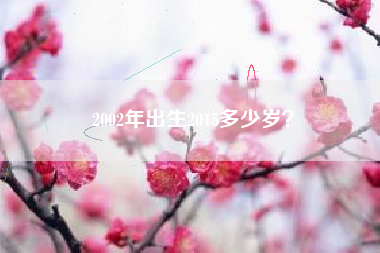 2002年出生2015多少岁？