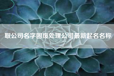 取公司名字固废处理公司最新起名名称