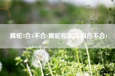 属蛇3合3不合(属蛇和属鼠的合不合)