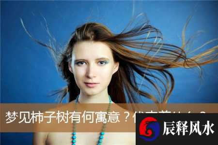 梦见柿子树有何寓意？代表着什么？