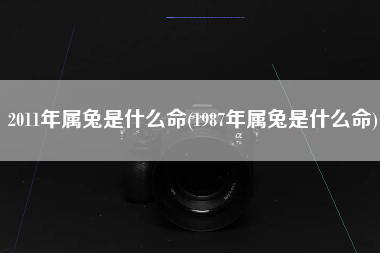 2011年属兔是什么命(1987年属兔是什么命)