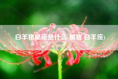 白羊猪星座是什么(属猪 白羊座)