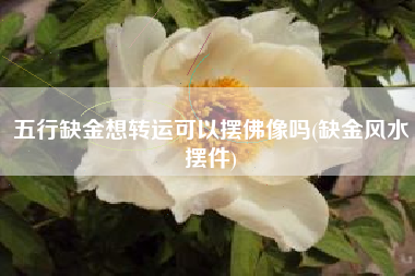 五行缺金想转运可以摆佛像吗(缺金风水摆件)
