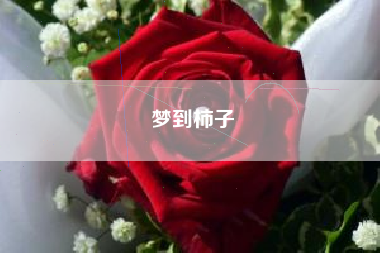 梦到柿子