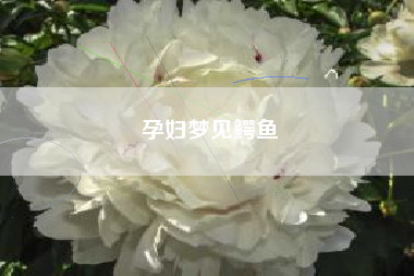 孕妇梦见鳄鱼
