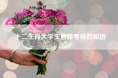 十二生肖大学生选择考研的原因