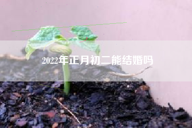 2022年正月初二能结婚吗