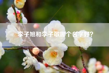 李子旭和李子敬哪个名字好？