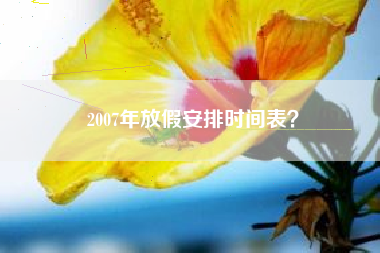 2007年放假安排时间表？