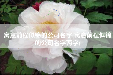 寓意前程似锦的公司名字(寓意前程似锦的公司名字两字)