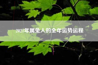 2021年属兔人的全年运势运程