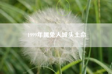 1999年属兔人城头土命