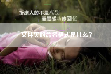 文件夹的命名格式是什么？
