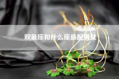 双鱼座和什么座最配男女
