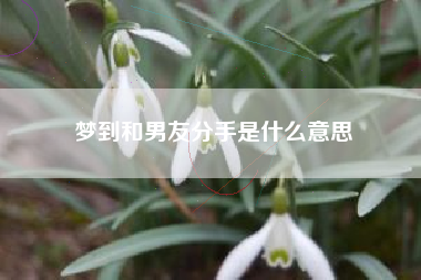 梦到和男友分手是什么意思