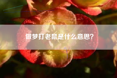做梦打老鼠是什么意思？