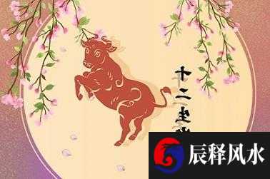 6_牛 (22)