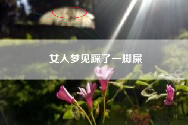 女人梦见踩了一脚屎