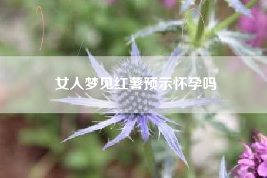 女人梦见红薯预示怀孕吗