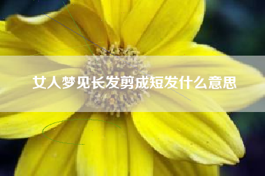 女人梦见长发剪成短发什么意思