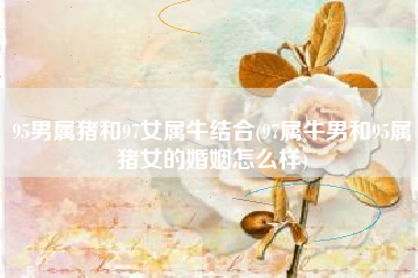 95男属猪和97女属牛结合(97属牛男和95属猪女的婚姻怎么样)
