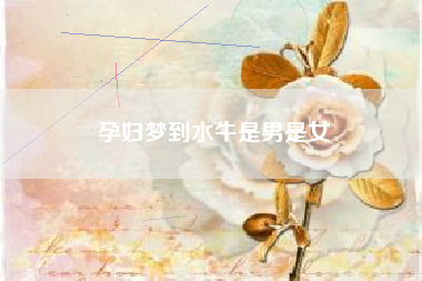 孕妇梦到水牛是男是女