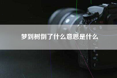 梦到树倒了什么意思是什么