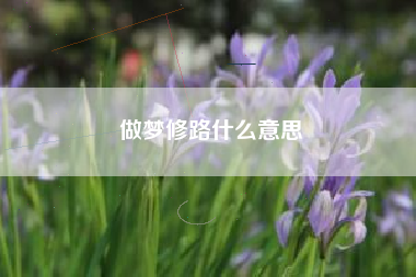 做梦修路什么意思