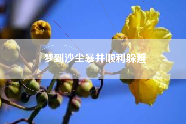 梦到沙尘暴并顺利躲避