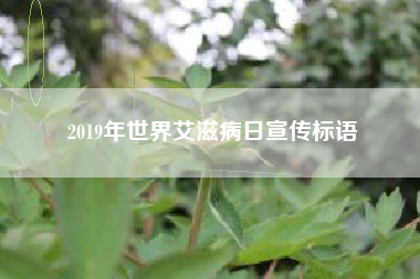 2019年世界艾滋病日宣传标语