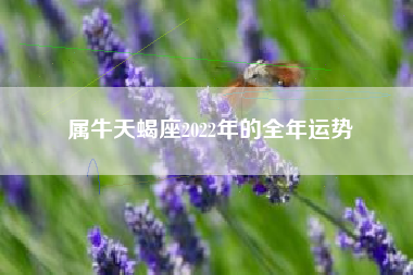 属牛天蝎座2022年的全年运势